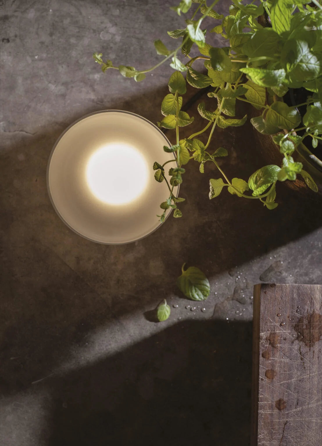 KARMAN Republic - Outdoor Wandleuchte Agua